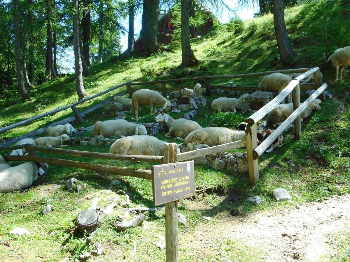 Отель Erjavceva Mountain Hut At Vrsic Pass Краньска Гора Экстерьер фото